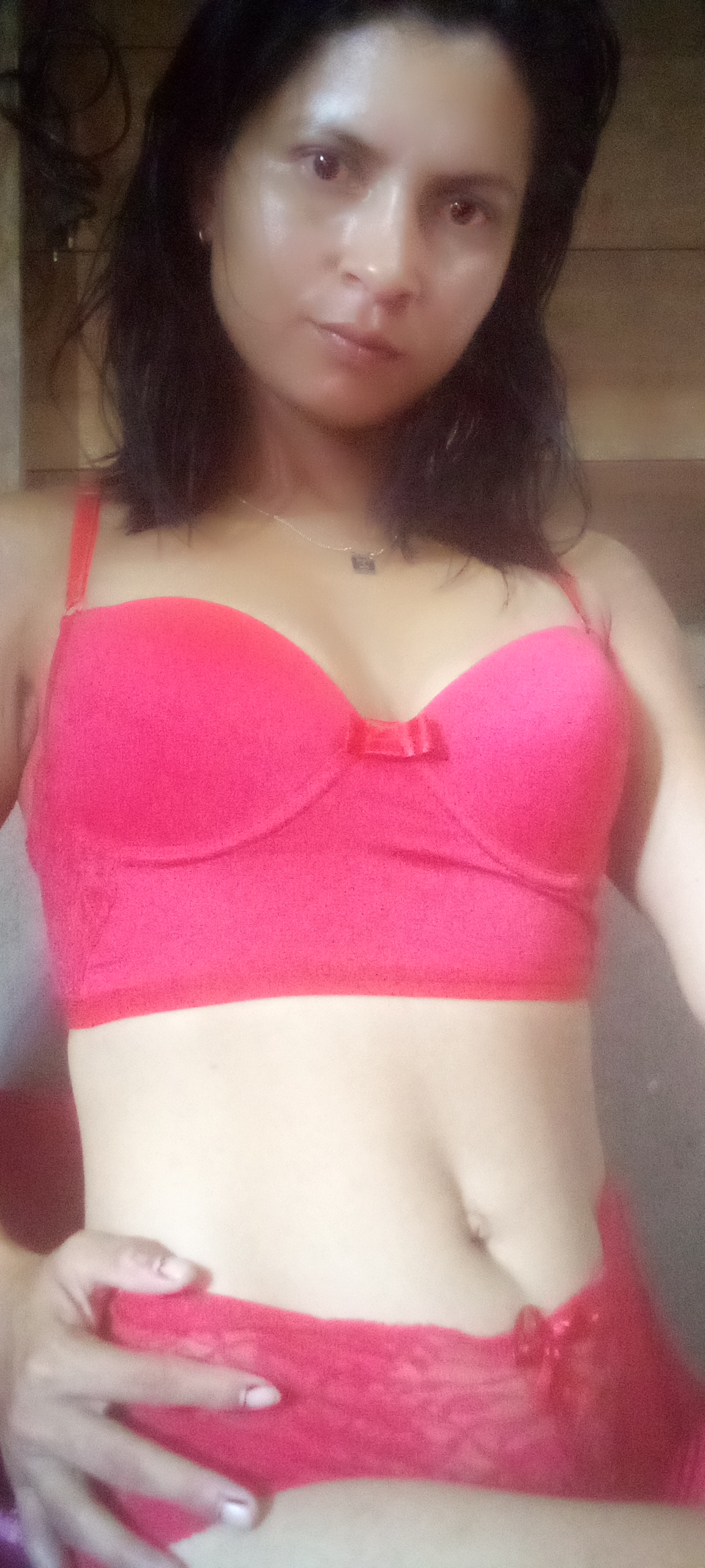 Modelo Dina
